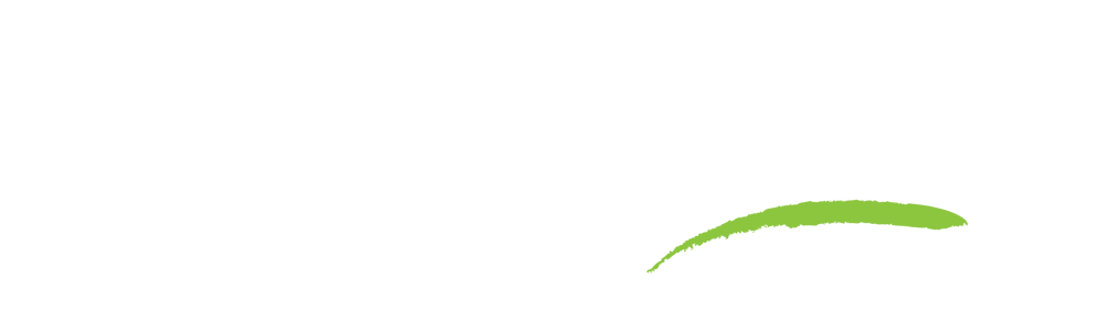 Paytime - 30th Logo (Website)