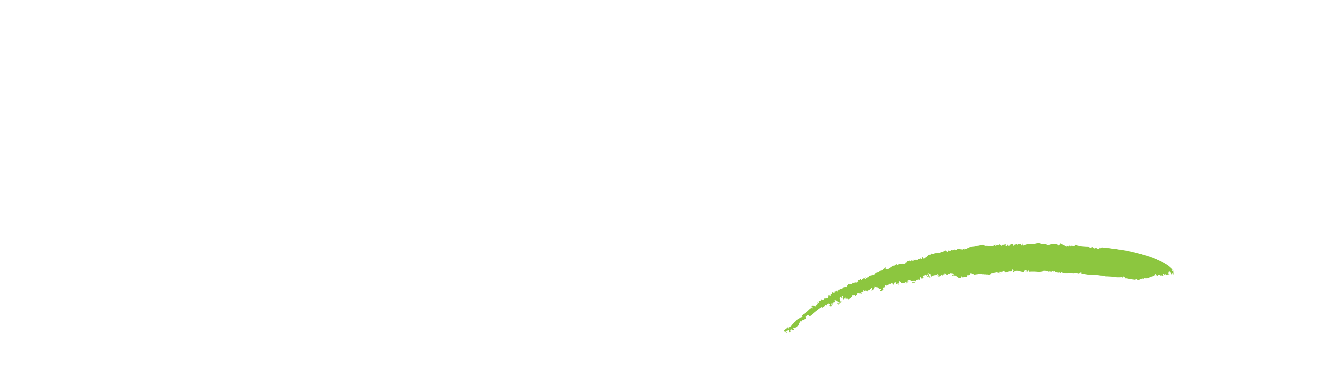 Paytime - 30th Anniversary Logo